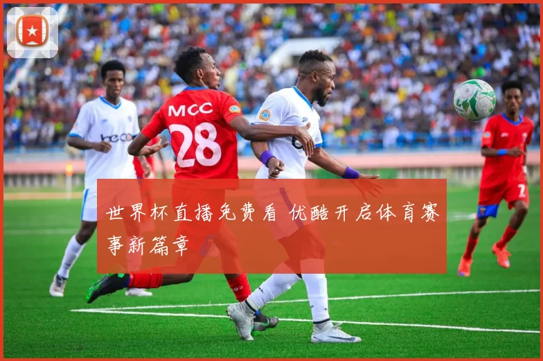 世界杯直播免费看 优酷开启体育赛事新篇章