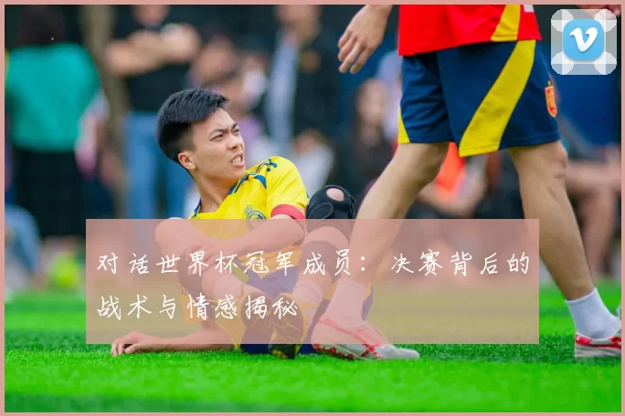 对话世界杯冠军成员：决赛背后的战术与情感揭秘