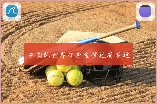 中国队世界杯夺金梦还有多远