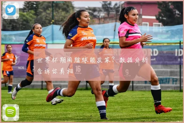世界杯期间赌球能发家？数据分析告诉你真相