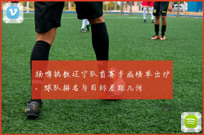 杨鸣执教辽宁队首赛季成绩单出炉，球队排名与目标差距几何