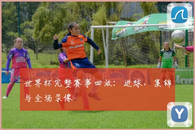世界杯完整赛事回放：进球、集锦与全场录像